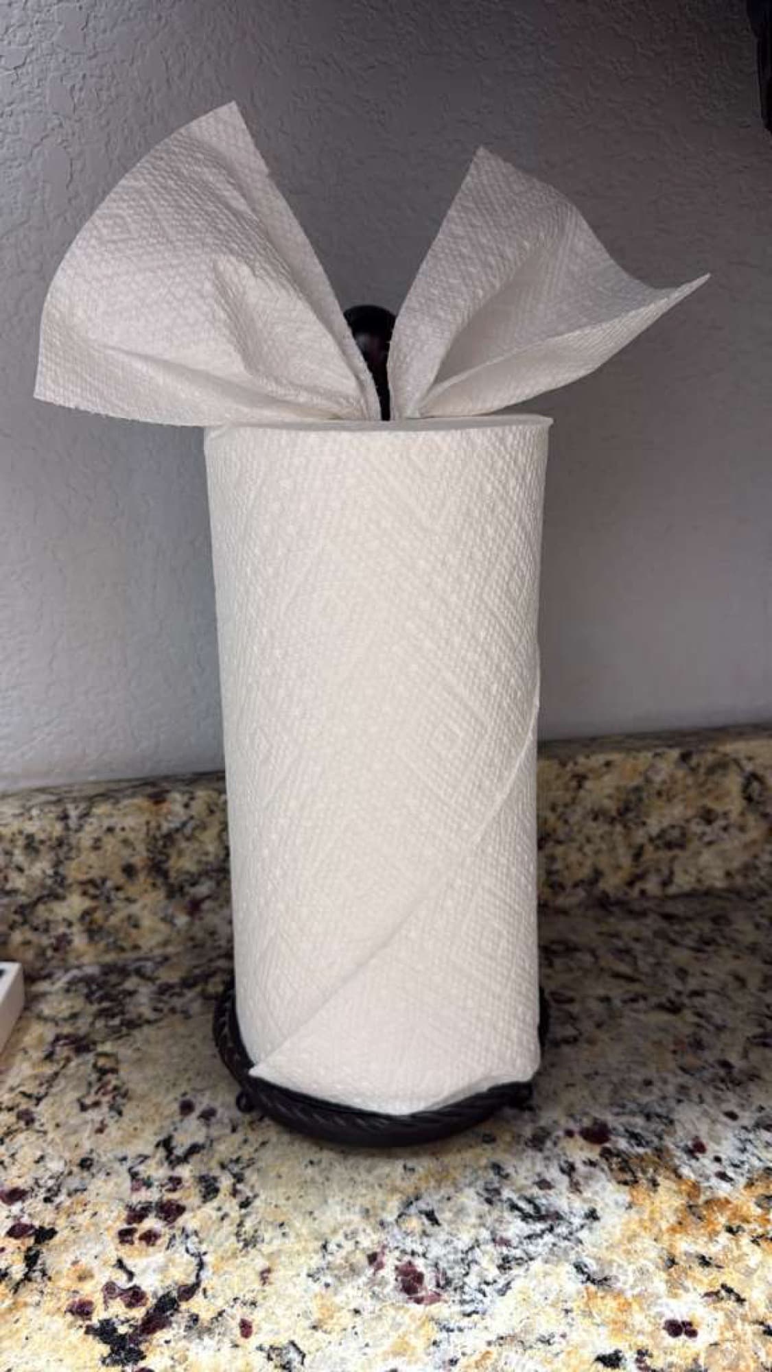 Paper towel roll arranged neatly on a kitchen counter.